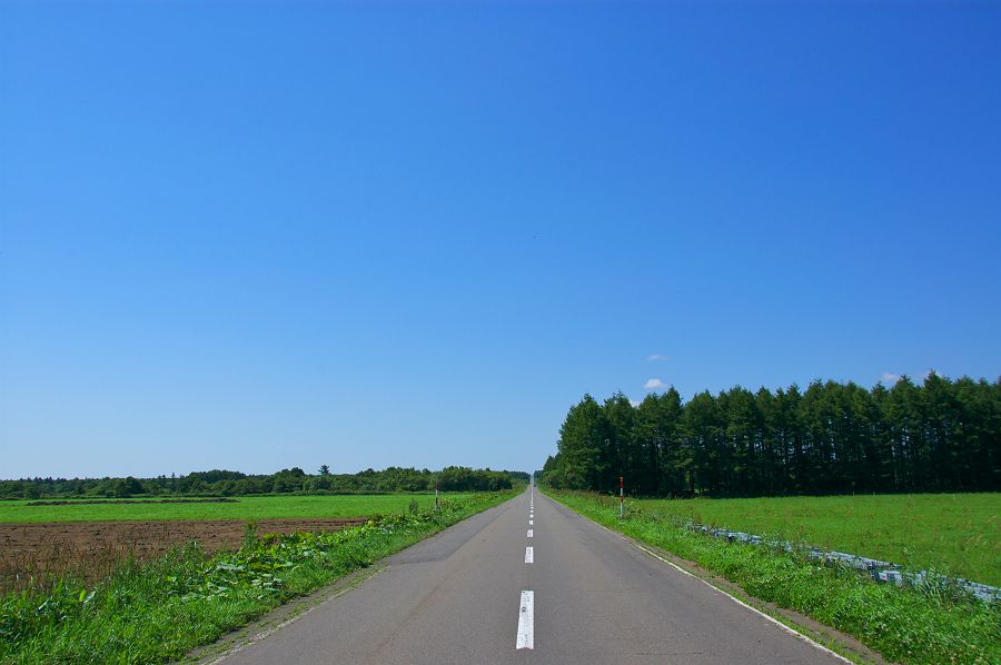 DSC_4602shibetu-s.jpg