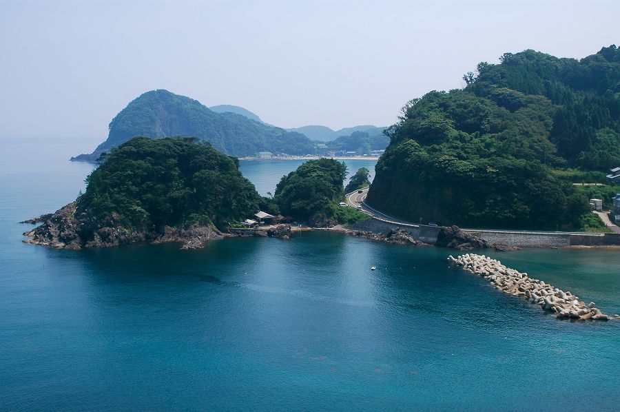 DSC_6868tajima-s.jpg