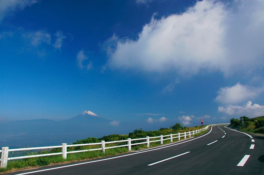 DSC_8518izu-s.jpg